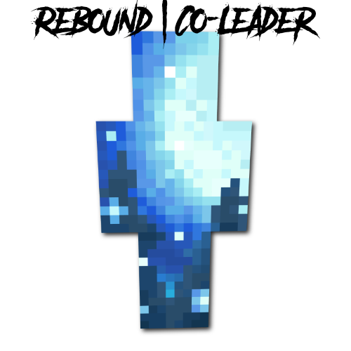 Rebound | Co-Leader